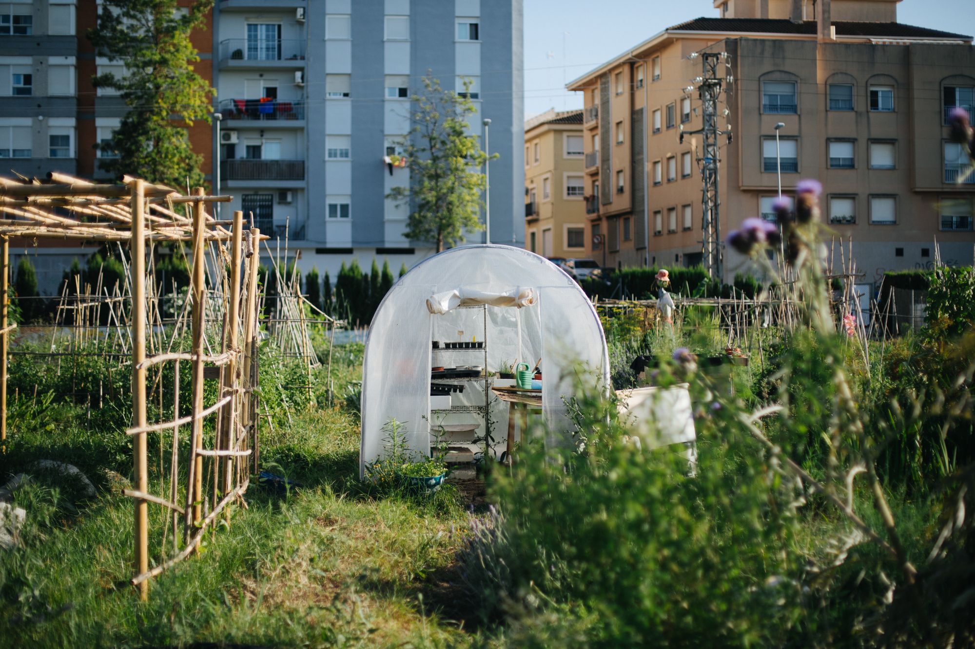 0f51609a-4a09-41b6-98c5-f763751bb8c9