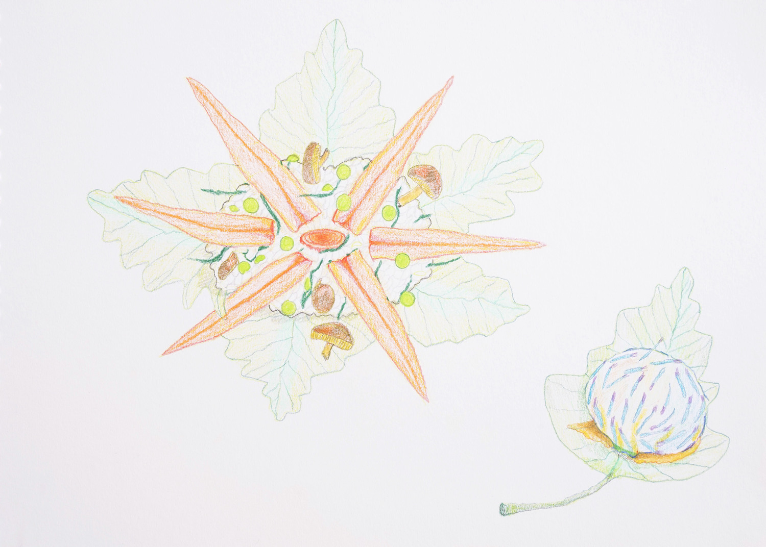 15_2020-08-26-09.49.20small