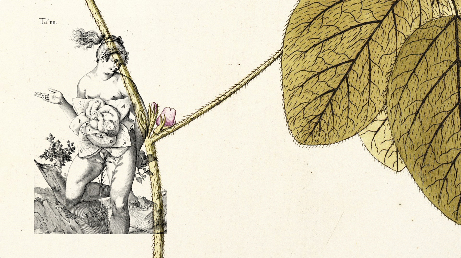 Linnaeus-and-the-Terminator-Seed-film-still-2